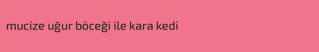 mucize uğur böceği ile kara kedi